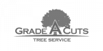 Grade A Cuts Logo Shaddow